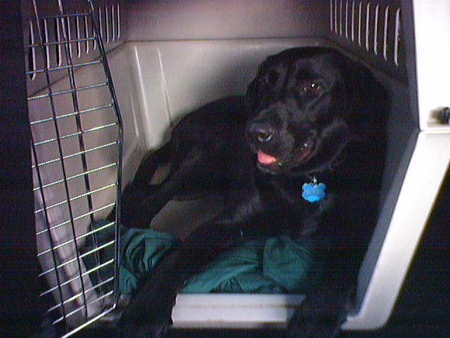 Ninja riding to Cedar Rapids