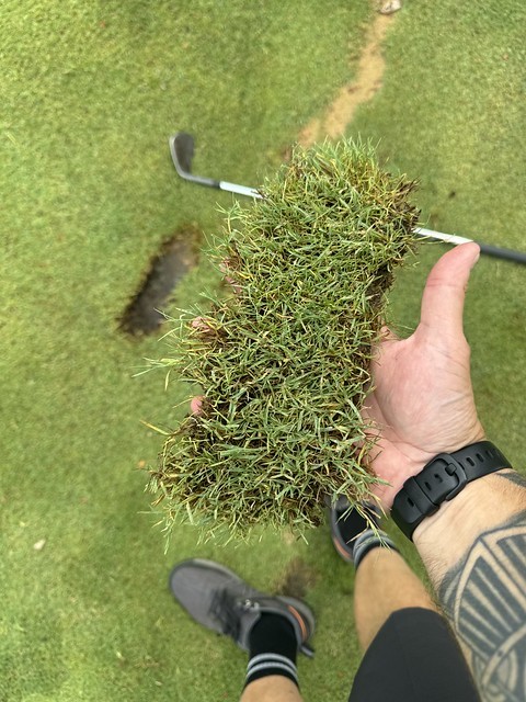 Look at that beaver pelt