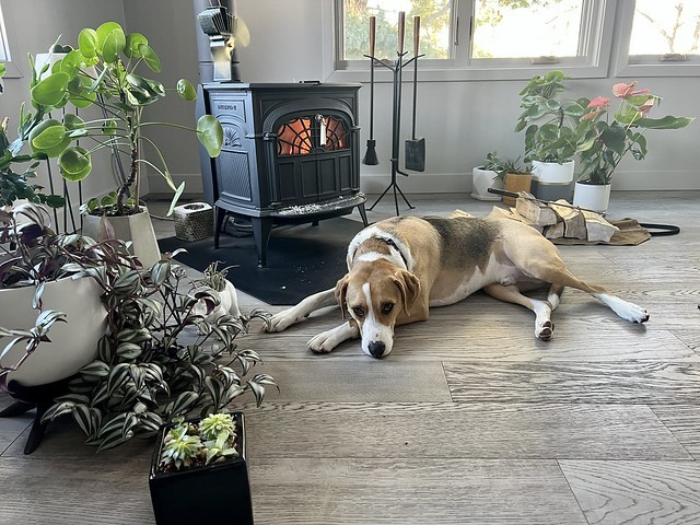 Stayin warm and cozy