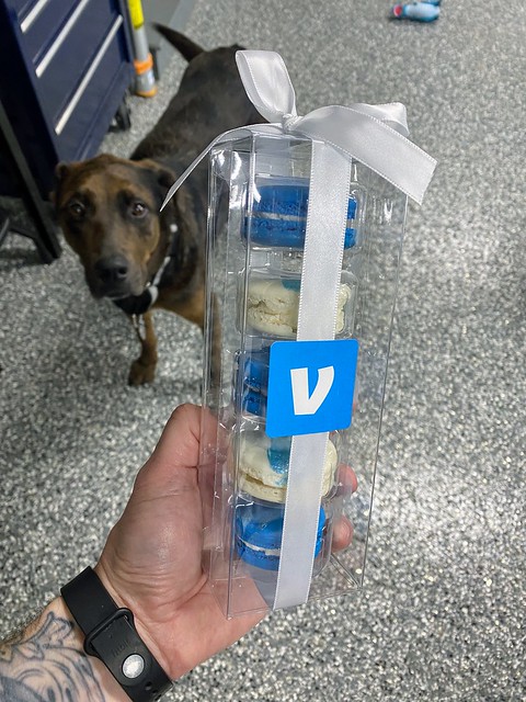 Got some Venmo Macarons. Benny wants them.