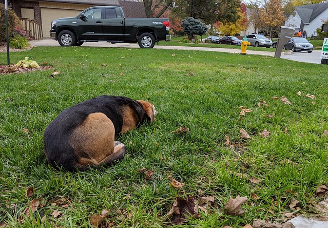 Kari just left for Georgia. Garth misses her.