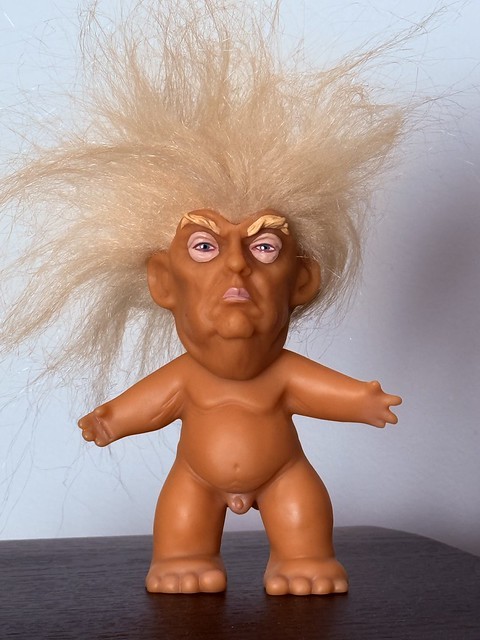 I am tired of hearing about this troll