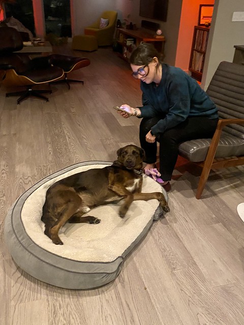 Learnin about our house