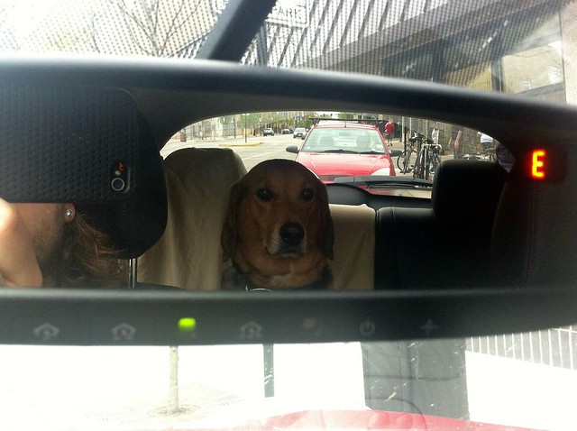 Back seat driver