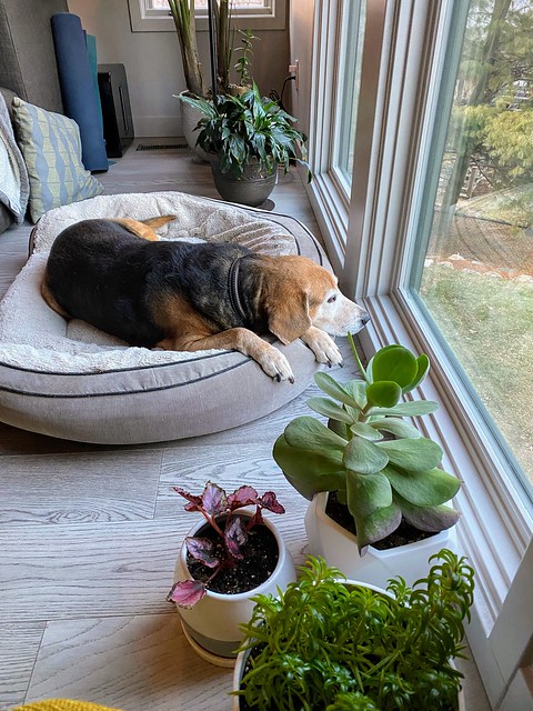 Watchin over the land