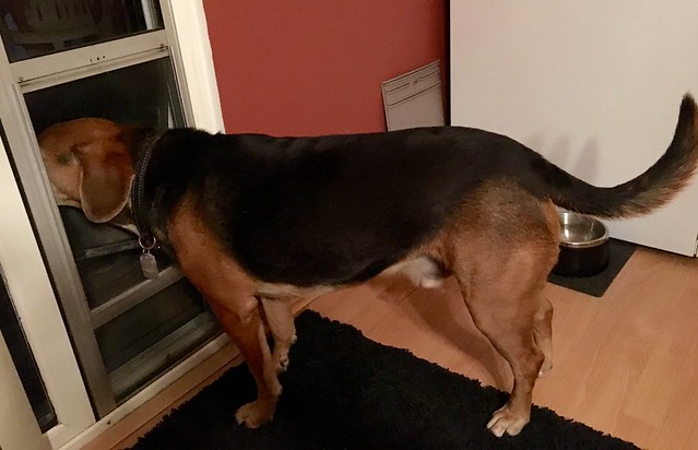 Garth likes to get good whiffs of the outdoors