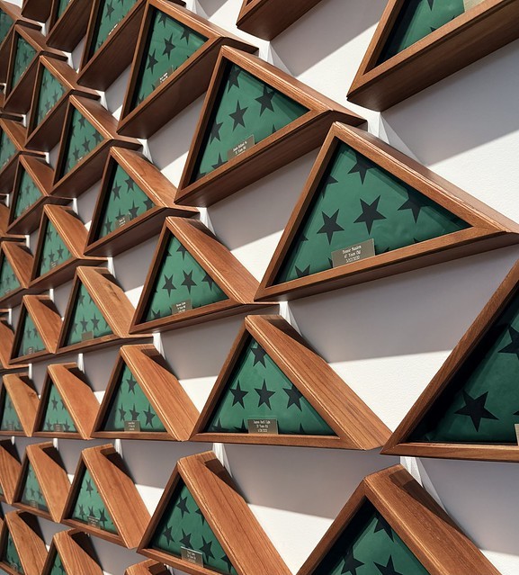 Involuntary veterans flags. By Robert Moore