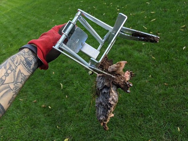 Hot another one! Die, bitch!