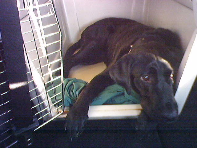 Ninja riding to Cedar Rapids