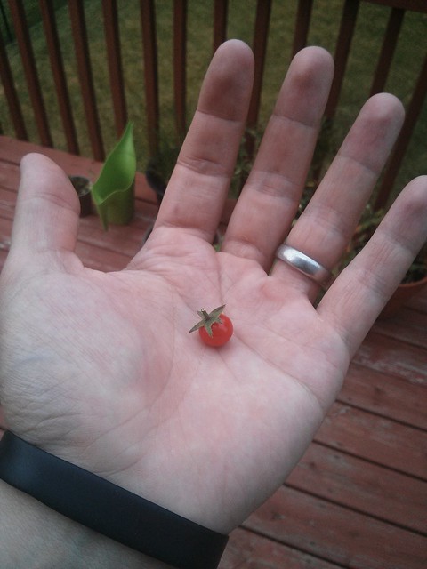 Would ya look at this? Oh my goodness. Just look at it.