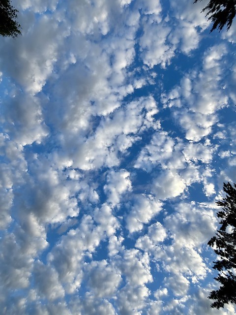 Today's clouds are cool