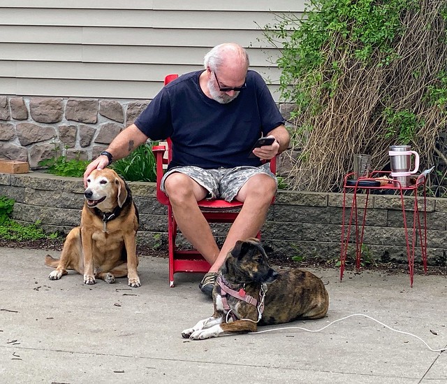 Dogs breakin the rules