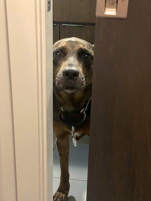 "Hey. What are you doing in there?"