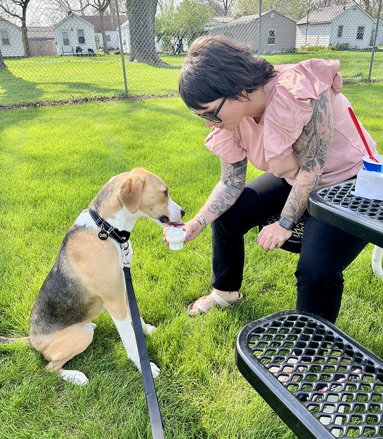 It’s 90 degrees. Let’s introduce the pup to Dairy Queen