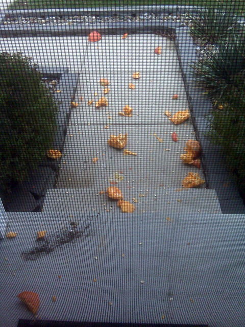 I regretted smashing my pumpkins immediately... but damn was it fun.