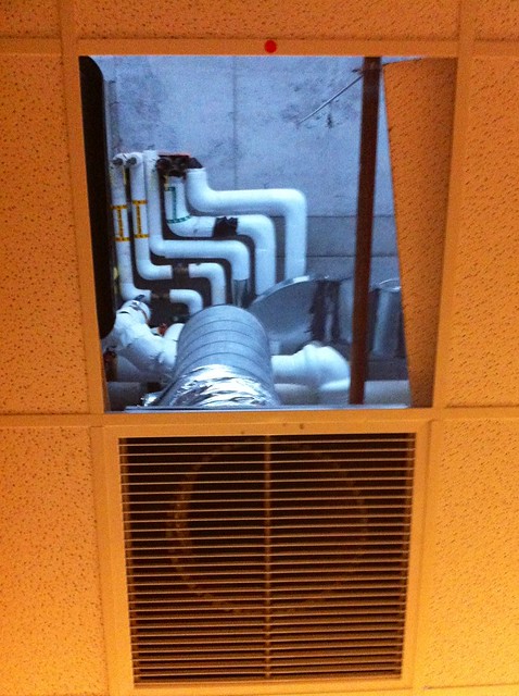 Looking up in a bathroom stall. Goldeneye.