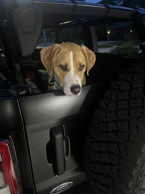 Yung durb is ready for a car ride