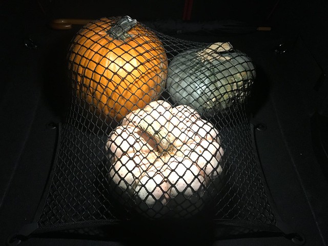Pumpkins in the bimmer