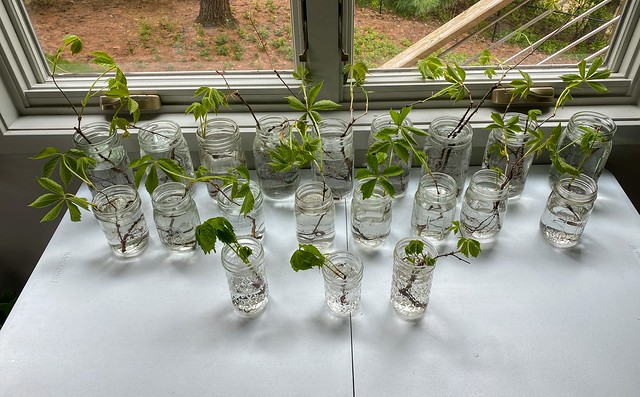 Doin some old man things