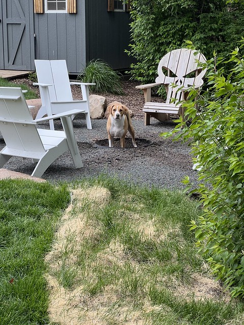 Naughty boy is busted