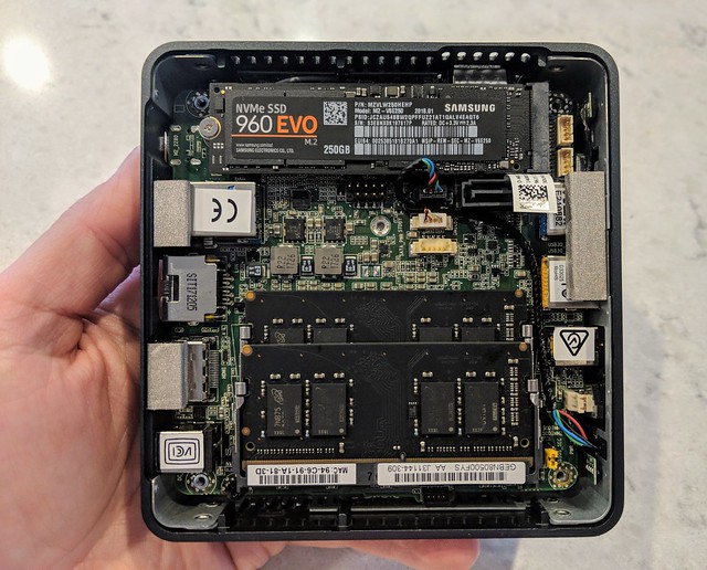 This thing is darling