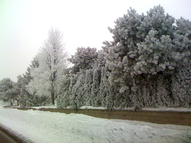 It's pretty out this morning