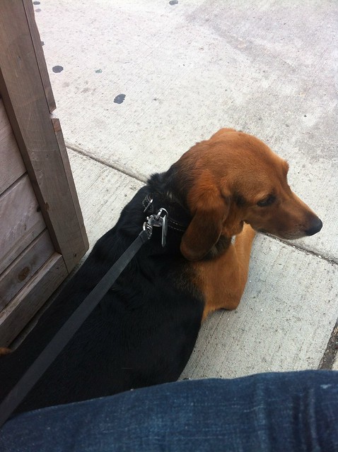 Chillin at Bangers and Lace with Garth Brooks