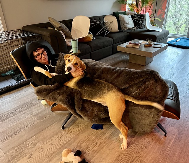 Still working on staying off the furniture… this is his hack.