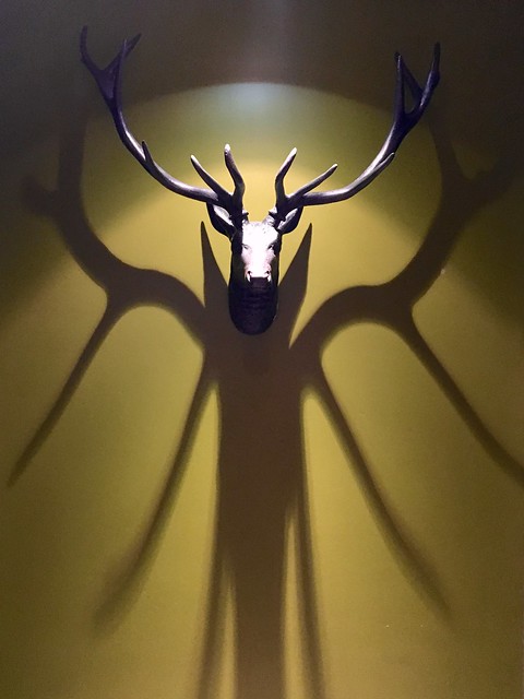 Look at this shadow situation