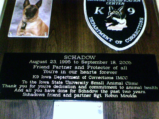Thank you for you're dedication, Shadow