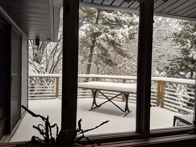 The first snow of the season is always the most exciting snow