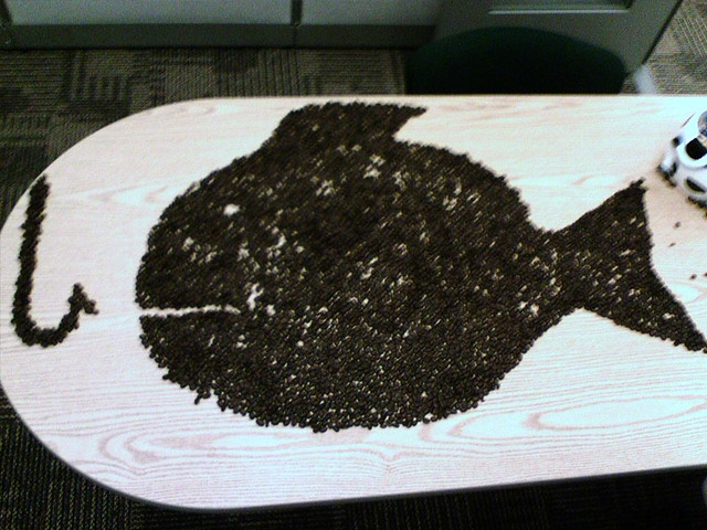 A fish made out of coffee beans that we dumped all over doug's cube