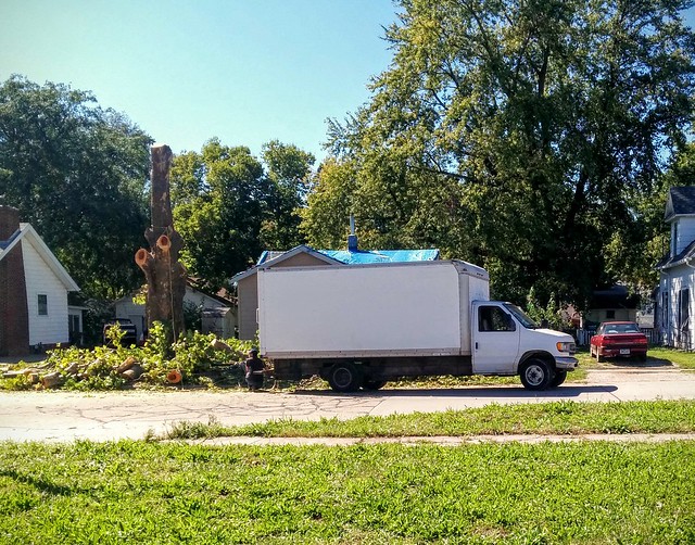 These dudes were trying to pull over that stump with this truck