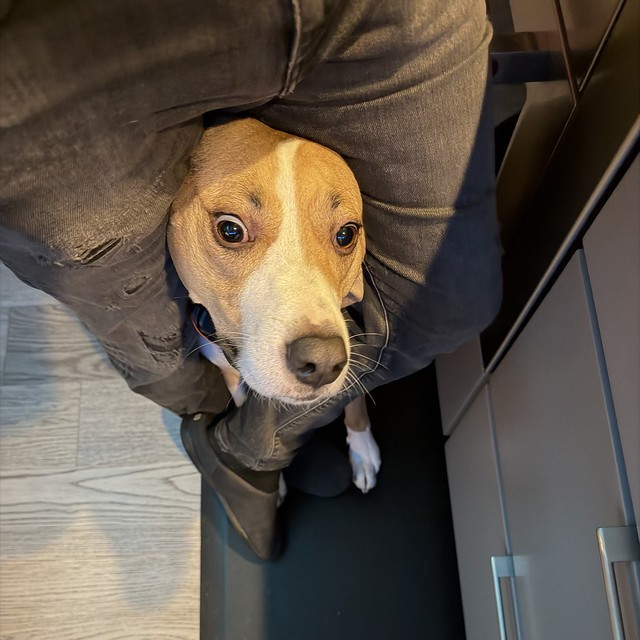 Durby needs to be close during this party