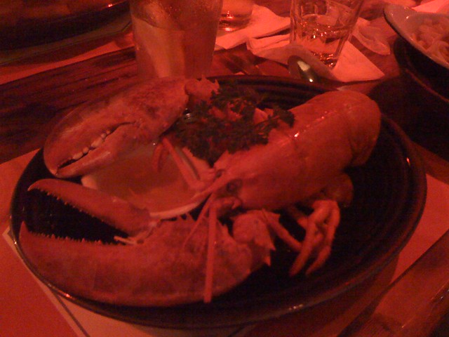 Lobster in my Belly
