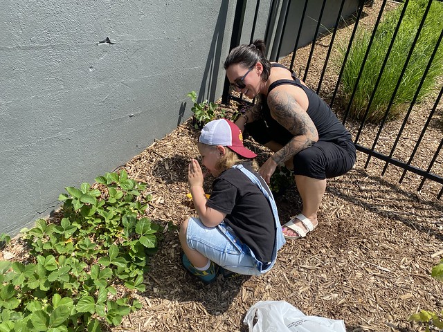 It's important to taste things when planting a garden