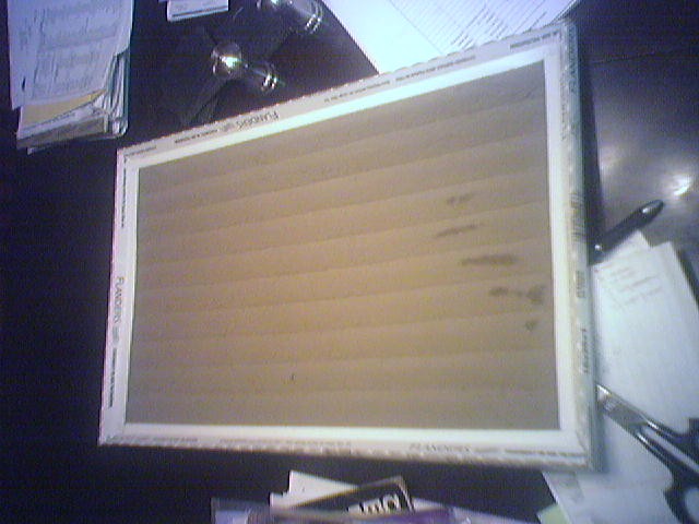 Dirtiest furnace filter ever
