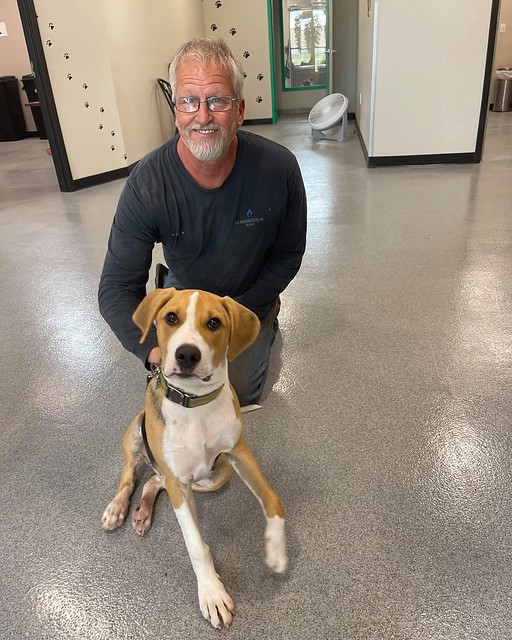 Durby's last adoption...