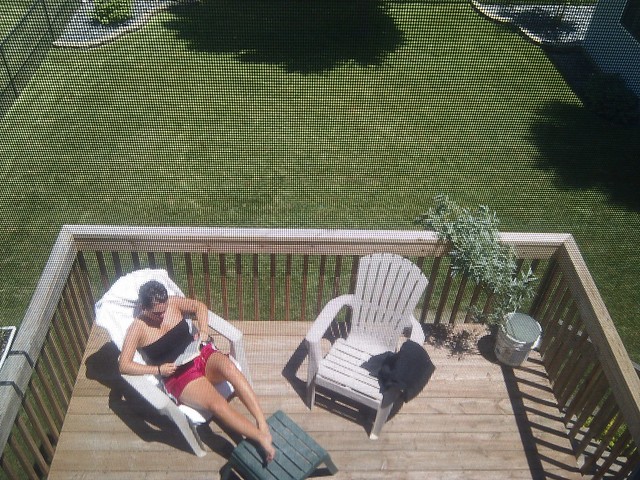 Kari's summer... and the view from my office window.