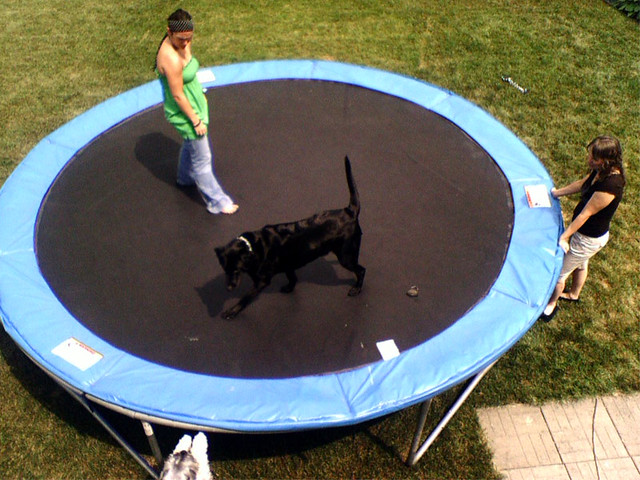Ninja on the trampoline