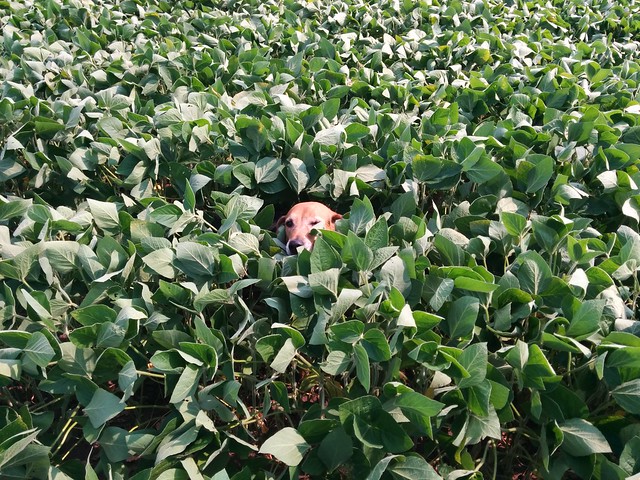 Garth Brooks loves country livin