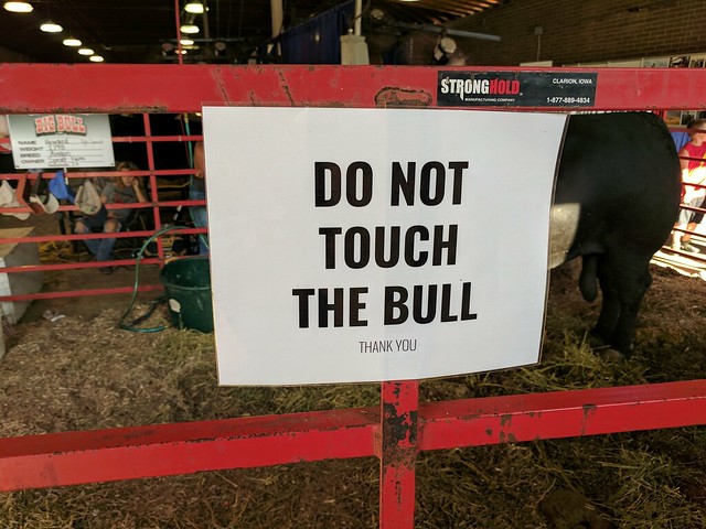 Do not touch the largest bull in the state.