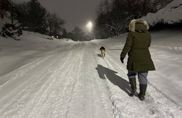 Our neighborhood doesn’t get a lot of attention from plows