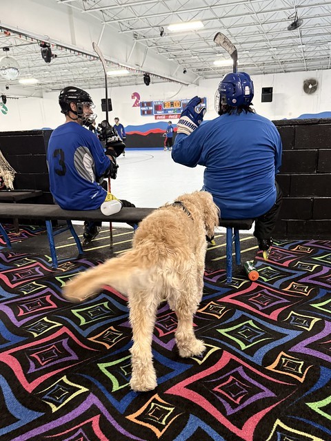 Pick up hockey stuff