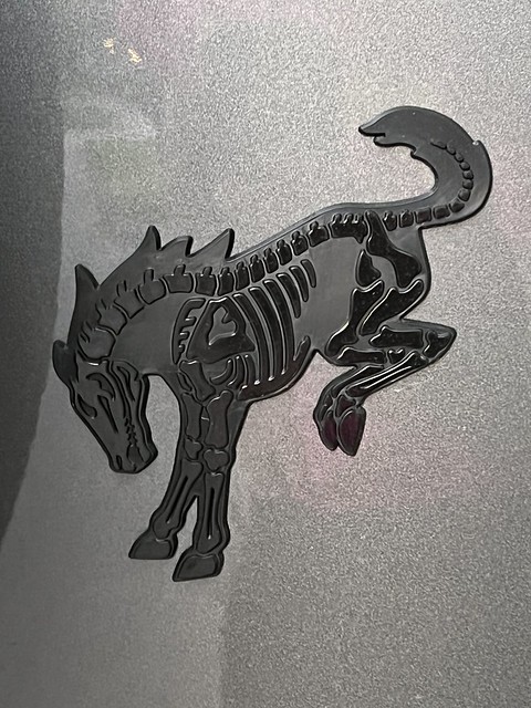 This Bronco skeleton emblem was fun
