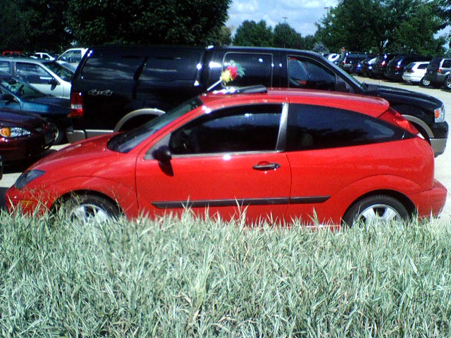 Zach's Pretty Antenna