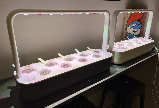 Kari’s garden season has arrived