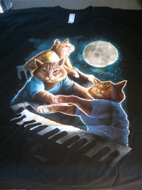My 3 keyboard cat shirt came today!