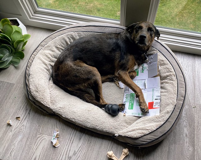 Just over here bein an asshole