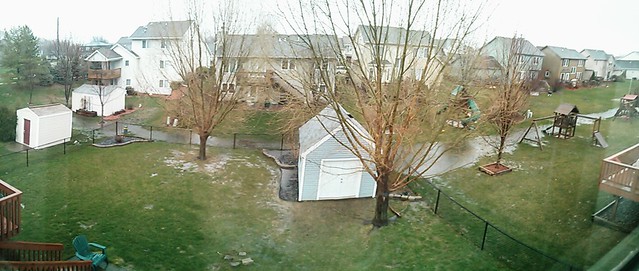 The river in my back yard